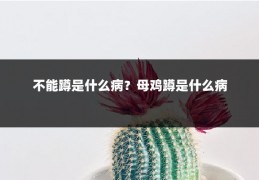 不能蹲是什么病？母鸡蹲是什么病