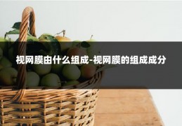 视网膜由什么组成-视网膜的组成成分