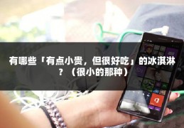 有哪些「有点小贵，但很好吃」的冰淇淋？（很小的那种）