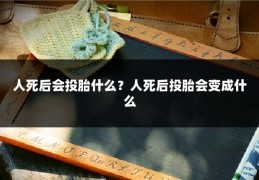 人死后会投胎什么？人死后投胎会变成什么