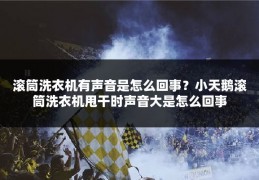 滚筒洗衣机有声音是怎么回事？小天鹅滚筒洗衣机甩干时声音大是怎么回事