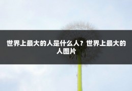 世界上最大的人是什么人?世界上最大的人图片