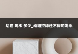 幼猫 喝水 多少_幼猫拉稀还不停的喝水