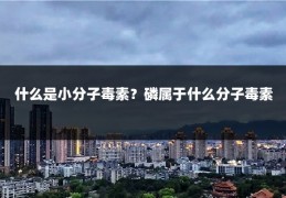 什么是小分子毒素？磷属于什么分子毒素