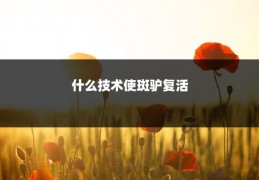 什么技术使斑驴复活