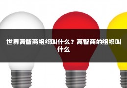 世界高智商组织叫什么?高智商的组织叫什么