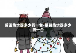 普田热水器多少钱一台-菜普热水器多少钱一台