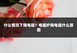 什么情况下烧电阻?电磁炉烧电阻什么原因