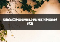 微信怎样批量设置朋友圈权限及批量删除好友