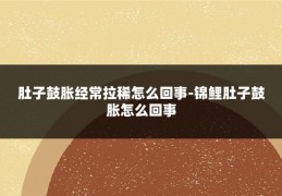 肚子鼓胀经常拉稀怎么回事-锦鲤肚子鼓胀怎么回事