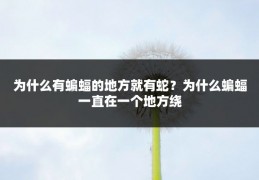 为什么有蝙蝠的地方就有蛇?为什么蝙蝠一直在一个地方绕