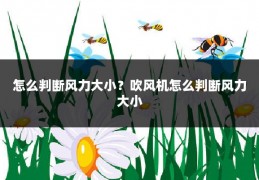 怎么判断风力大小？吹风机怎么判断风力大小