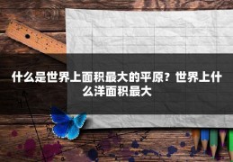 什么是世界上面积最大的平原？世界上什么洋面积最大