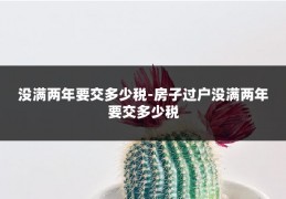 没满两年要交多少税-房子过户没满两年要交多少税