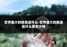 世界最大的鲸鱼是什么-世界最大的鲸鱼是什么鲸多少吨