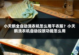 小天鹅全自动洗衣机怎么甩干衣服？小天鹅洗衣机自动投放功能怎么用
