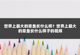 世界上最大的章鱼长什么样?世界上最大的章鱼长什么样子的视频