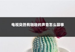 电视突然有啪啪的声音怎么回事