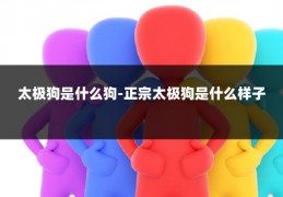 太极狗是什么狗-正宗太极狗是什么样子