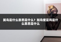 翼鸟是什么意思是什么？加鸟便是鸡是什么意思是什么