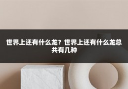 世界上还有什么龙?世界上还有什么龙总共有几种