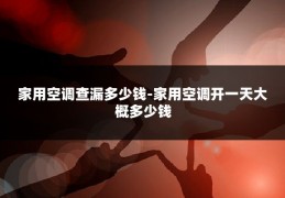 家用空调查漏多少钱-家用空调开一天大概多少钱