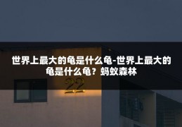 世界上最大的龟是什么龟-世界上最大的龟是什么龟?蚂蚁森林