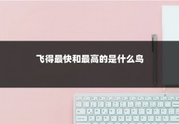飞得最快和最高的是什么鸟