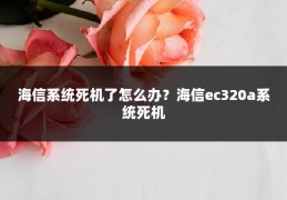 海信系统死机了怎么办?海信ec320a系统死机