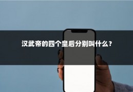 汉武帝的四个皇后分别叫什么？