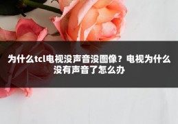 为什么tcl电视没声音没图像?电视为什么没有声音了怎么办