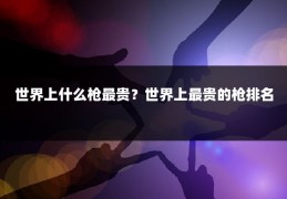 世界上什么枪最贵？世界上最贵的枪排名