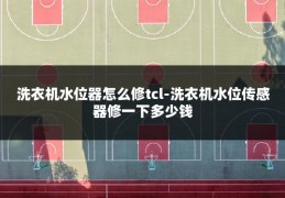 洗衣机水位器怎么修tcl-洗衣机水位传感器修一下多少钱