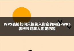 WPS表格如何只能输入指定的内容-WPS表格只能输入固定内容