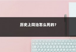 历史上同治怎么死的？