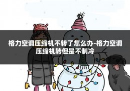 格力空调压缩机不转了怎么办-格力空调压缩机转但是不制冷