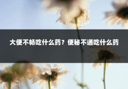 大便不畅吃什么药？便秘不通吃什么药