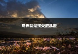 成长就是接受脏乱差
