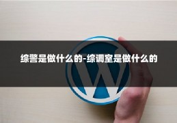 综警是做什么的-综调室是做什么的