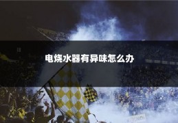 电烧水器有异味怎么办
