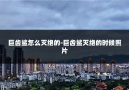 巨齿鲨怎么灭绝的-巨齿鲨灭绝的时候照片