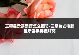 三星显示器黑屏怎么调节-三星台式电脑显示器黑屏但灯亮