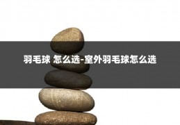 羽毛球 怎么选-室外羽毛球怎么选