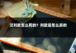 汉刘武怎么死的？刘武是怎么反的