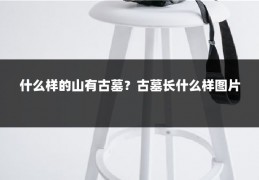 什么样的山有古墓?古墓长什么样图片