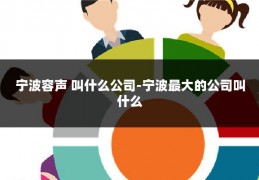 宁波容声 叫什么公司-宁波最大的公司叫什么