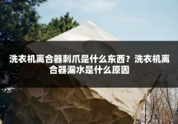 洗衣机离合器刺爪是什么东西？洗衣机离合器漏水是什么原因