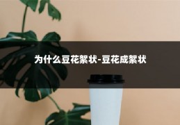 为什么豆花絮状-豆花成絮状