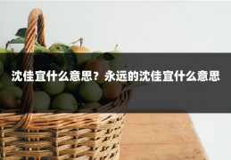 沈佳宜什么意思？永远的沈佳宜什么意思