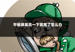 平板屏幕亮一下就黑了怎么办